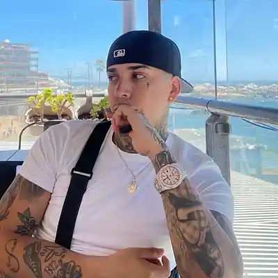 Picture for song 'YOUNG CISTER X CHILL REGGAETON TYPE BEAT' by artist 'prod bvil beatss'