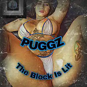 Picture for song 'The Block Is Lit' by artist 'Puggz'
