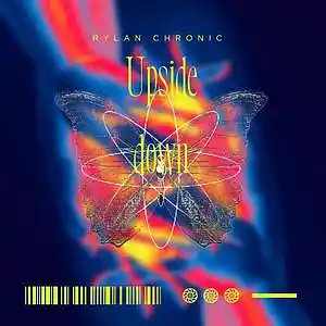 Picture for song 'Upside Down' by artist 'Rylan Chronic'