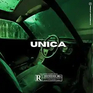 Picture for song 'UNICA REGGAETON (Buy 1 Get 1 FREE)' by artist 'Victus Fire'