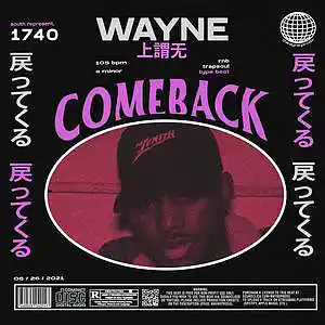 Picture for song 'comeback' by artist 'wayne.prods'