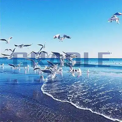 Picture for song '[free] cradle / oldschool type [90 bpm]' by artist 'Sovtus'