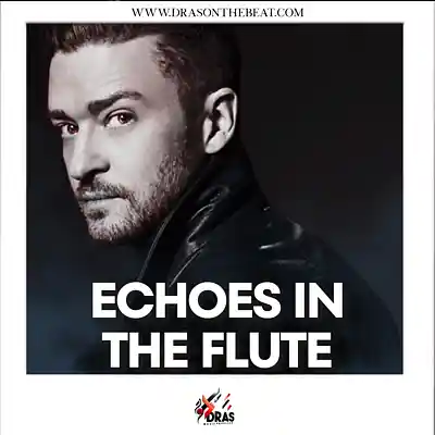 Picture for song 'ECHOES IN THE FLUTE W/ HOOK 1+4 JT x Timbaland' by artist 'Dras On The Beat'