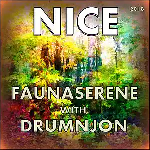 Picture for song 'NICE' by artist 'Drumnjon'