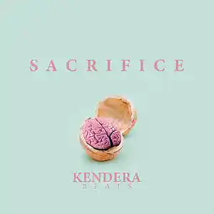 Picture for song 'Sacrifice' by artist 'Kendera Beats'