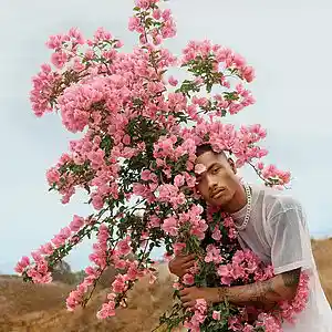Picture for song 'ONLY IF (Steve Lacy Type Beat)(BUY 1 GET 1 FREE)' by artist 'AYOCXRN (Formerly King Corn Beatzz)'
