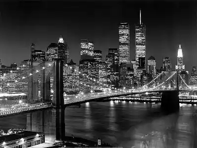 cover pic