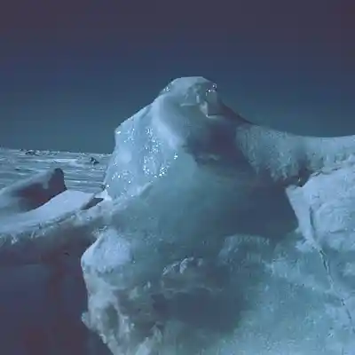 Picture for song 'Ice-Nine' by artist 'Pete Moss and the Weed Wackers'