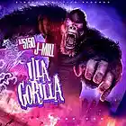 Picture for song 'Gorilla Muzik *SNIP*Free DL' by artist 'Qiz Beatz'