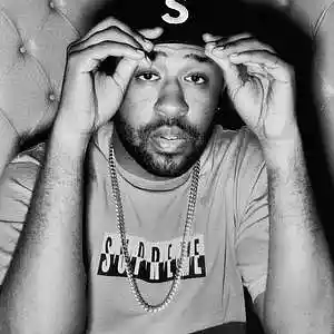 Picture for song 'LSD (w/ hook & 1st Verse) *FREE D/L*' by artist 'THE NETRUNNERS'