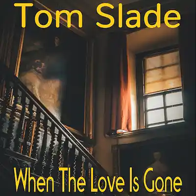 Picture for song 'When the Love is Gone' by artist 'Tom Slade'