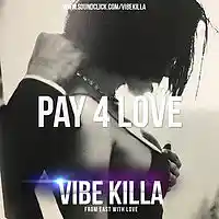 Picture for song 'Pay 4 Love' by artist 'VIBE KILLA'