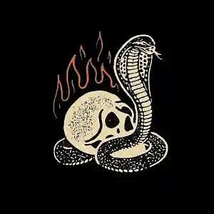 Picture for song 'Freestyle Dark Type Beat "Shadows". Dark Type Beat' by artist 'CHURSIN'