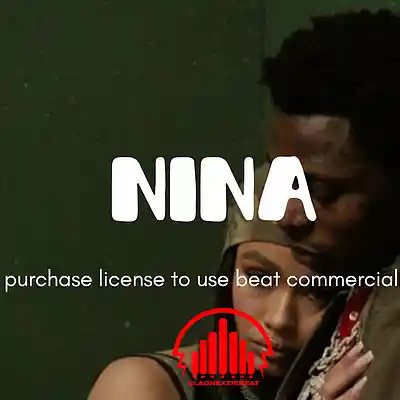 Picture for song 'Nina - Amapiano/Afrobeat type beat' by artist 'ClaqnexzieBeat'