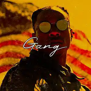Picture for song 'Gang' by artist 'Frankenstein Beats'