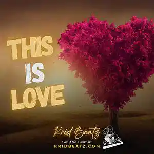 Picture for song 'This is Love - Meek Mill Type Beat' by artist 'Krid Beatz'