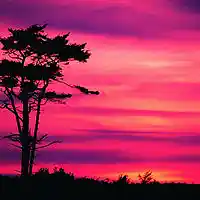 Picture for song 'Beautiful Sunset' by artist 'Michael Bennett'