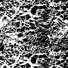 Picture for song 'Andromeda 7.' by artist 'nat moon'