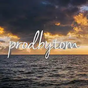 Picture for song 'Spacey Groovy Trap Type Beat' by artist 'prodbytom'