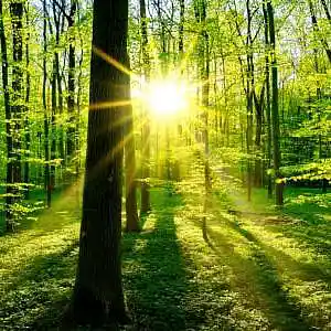 Picture for song 'WOULD YOU FOLLOW ME Gary Ramsey' by artist 'Rick Smerage'