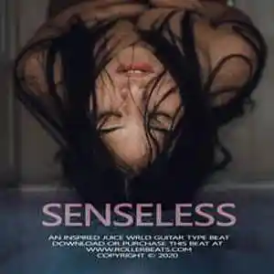 Picture for song '*CRAZY* SENSELESS (@rollerbeats)' by artist 'Rollerbeats'