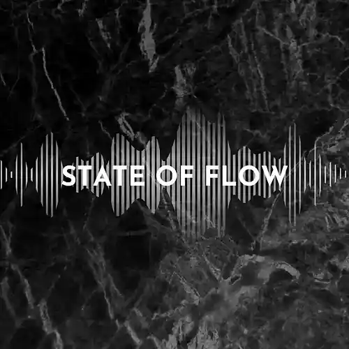 Picture for song 'Chrome' by artist 'State of Flow'