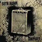 Picture for song 'Suicide War' by artist 'Seth Adam'
