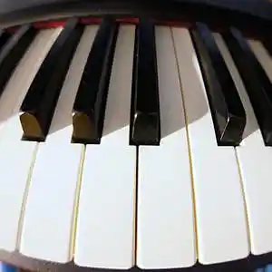 Picture for song 'ZEBRA' by artist 'Alexei Aedonitsky'