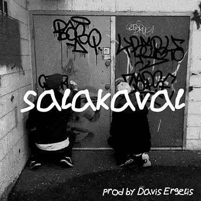 Picture for song 'Boom Bap type beat "salakaval"' by artist 'Davis Ergelis'