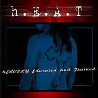 Picture for song 'dESTINY' by artist 'Doc hEAT'