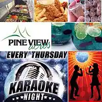 Picture for song 'Pine Lane' by artist 'Leonard Scaper'