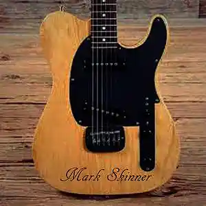 Picture for song 'All Along the Watchtower (Hendrix cover)' by artist 'mark alan skinner'