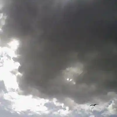 Picture for song ''A Stormy Day'' by artist 'Nadia Cripps'