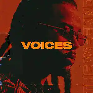 Picture for song 'Voices (Buy 1 Get 1 Free)' by artist 'SIGHOST'