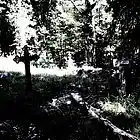 Picture for song 'Ghost park (2015 edit)' by artist 'Somnam'