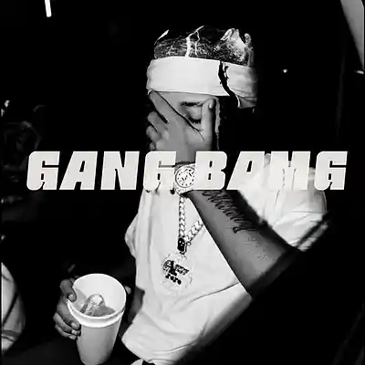 Picture for song 'GANG BAMG' by artist 'TWO WAVES 22'