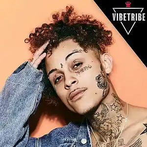Picture for song '*Lil Skies* Splits (BUY 1 GET 1 FREE!)' by artist 'VibeTribeBeatz'