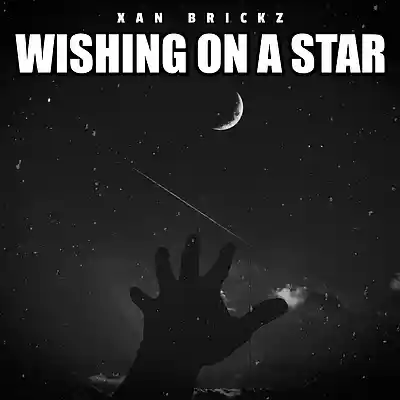 Picture for song 'WISHING ON A STAR [detroit, bay area club banger]' by artist 'Xan Brickz'