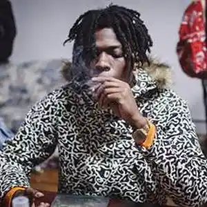 Picture for song 'warhol.ss-gas mask SOLD' by artist 'Chevy on the Come up Beatz'