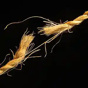 Picture for song 'Loosends' by artist 'JimRoss'