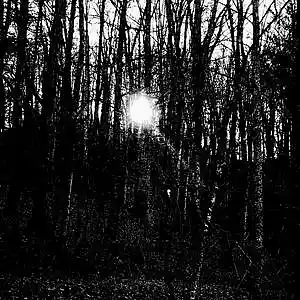 Picture for song '2020 Symphonic Vision No. 5' by artist 'Michael Fanning'
