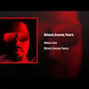 Picture for song 'Blood, Sweat, Tears' by artist 'Misin link'