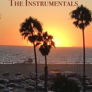 Picture for song 'Instrumental 13' by artist 'The Audio Files'