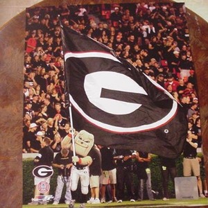 Picture for song 'Lil mike aka yung Wayne free syle cover song 9455' by artist 'Lil mike aka yung Wayne'