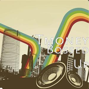 Picture for song 'Karma' by artist 'TMoneyMusic'