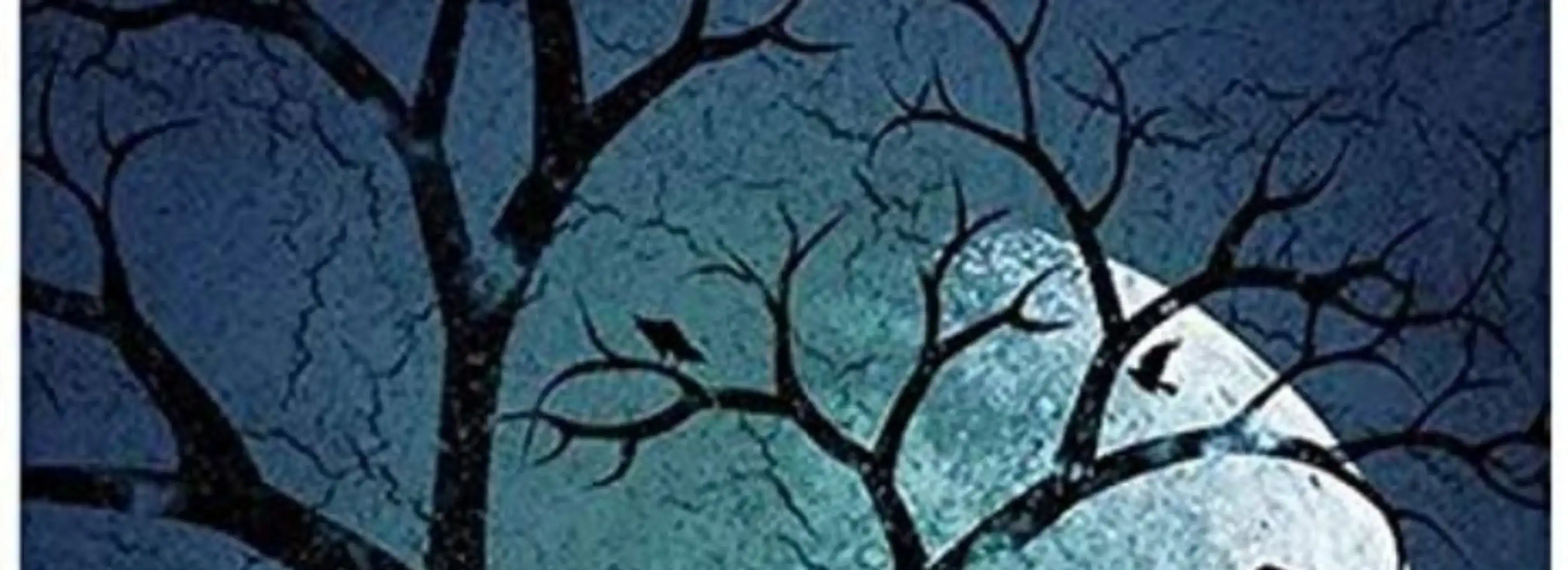 cover pic