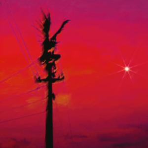 Picture for song 'b l o o d . m o n e y (BUY 1 GET 4 FREE)' by artist '9teen'