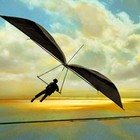 Picture for song 'Fly' by artist 'Adam Mackey'