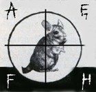 Picture for song 'Internal Fashion' by artist 'Anal Electric Fur Harvest'