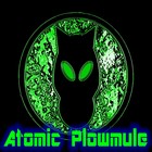 Picture for song 'Mule Skinner Blues' by artist 'Atomic Plowmule'